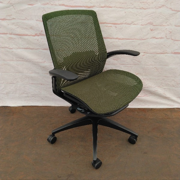 【展示品】*Finora(フィノラ) C741MS-F1F5