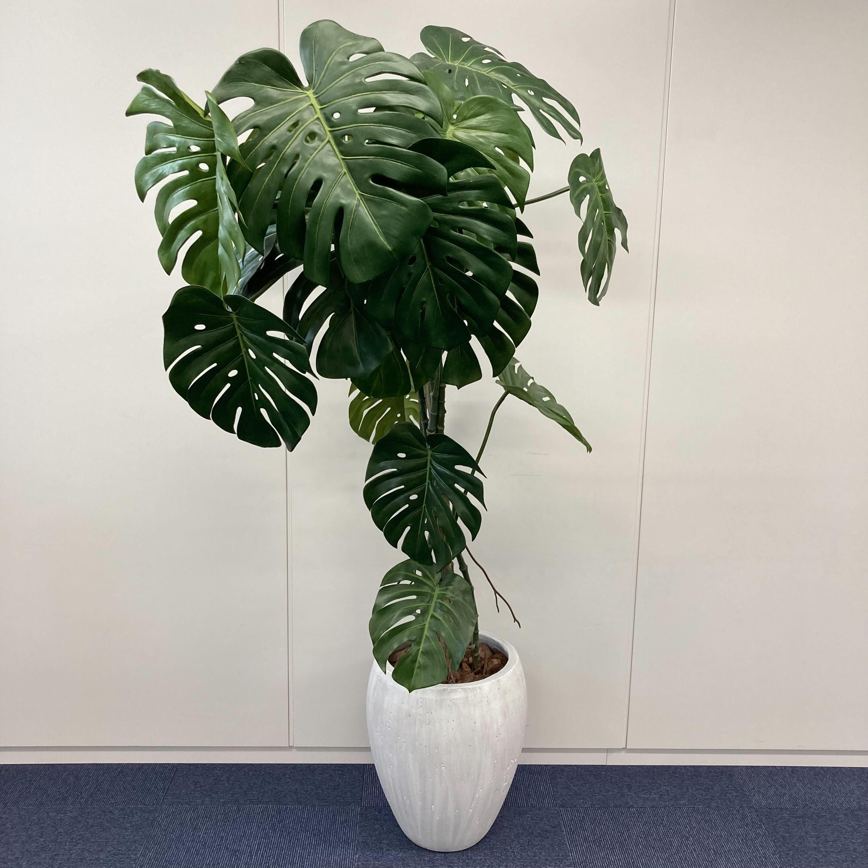 【中古A】フェイクグリーン / 幅400mm  高さ1800mm 人工観葉植物