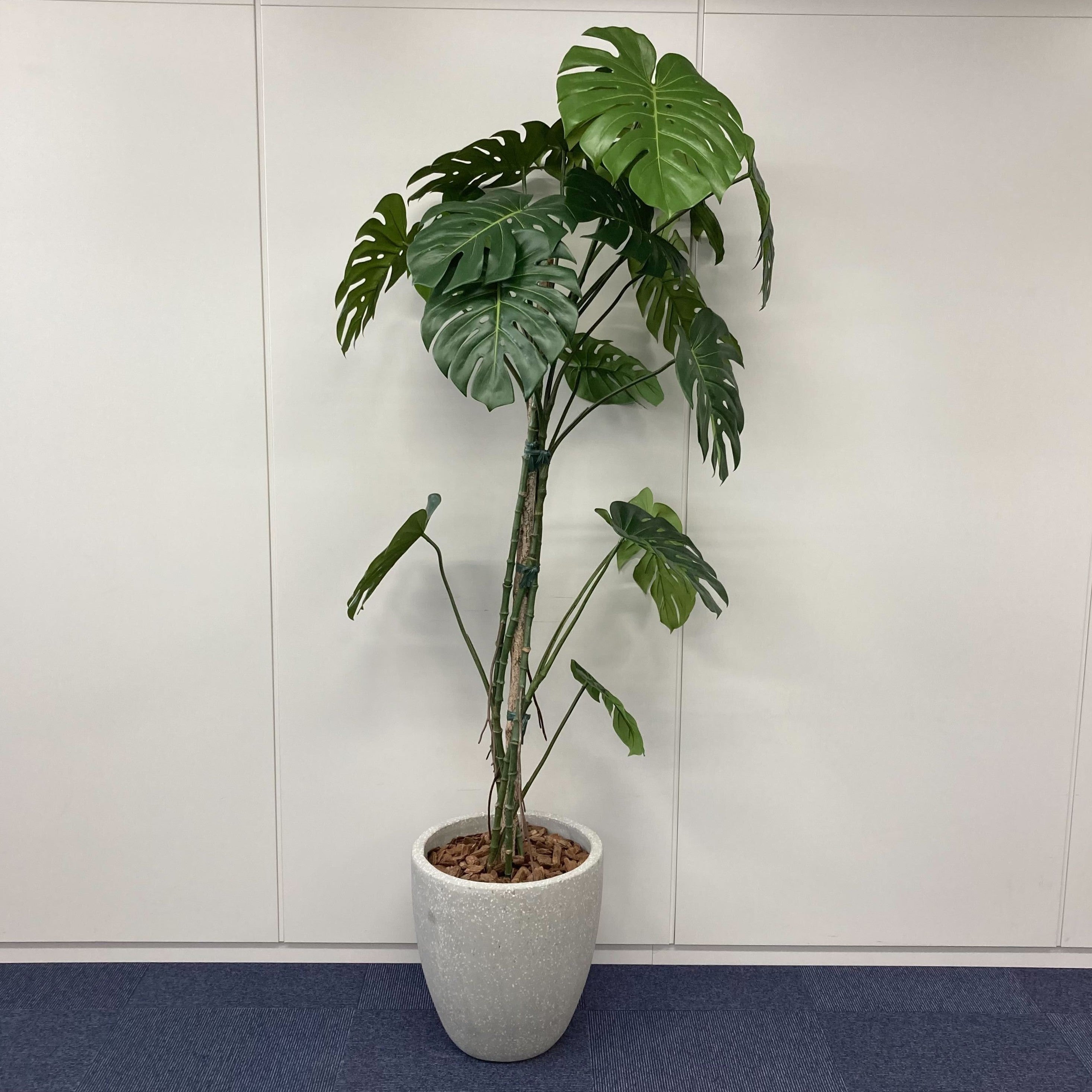 【中古A】フェイクグリーン / 幅400mm  高さ1800mm 人工観葉植物