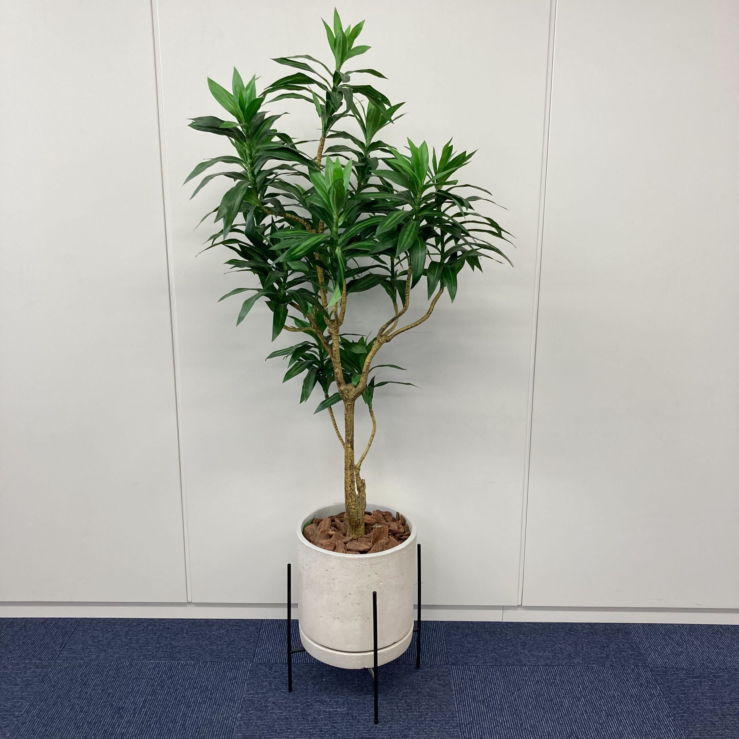 【中古A】フェイクグリーン / 幅300mm  高さ1500mm 人工観葉植物