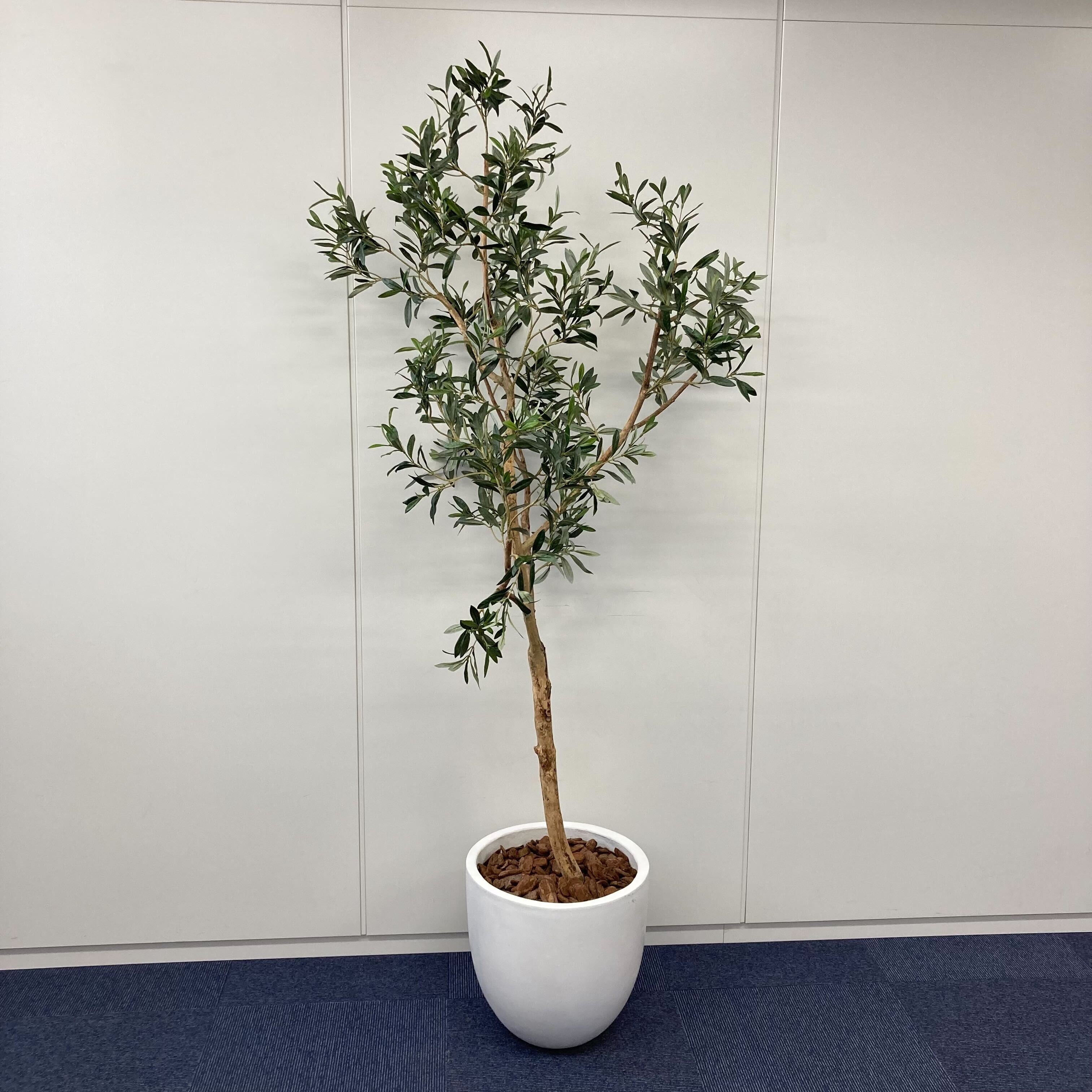 【中古A】フェイクグリーン / 幅400mm  高さ1800mm 人工観葉植物