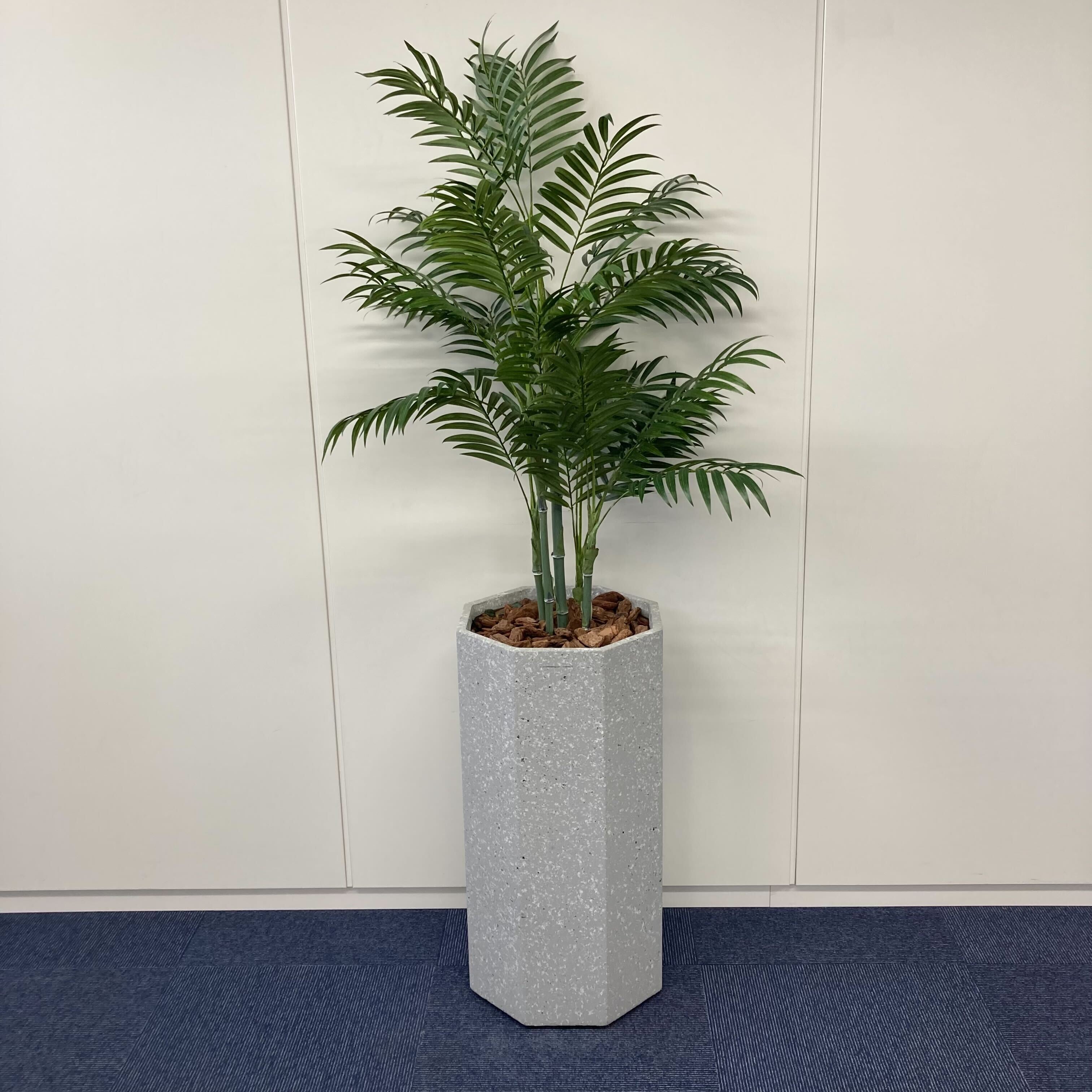 【中古A】フェイクグリーン / 幅350mm  高さ1700mm 人工観葉植物