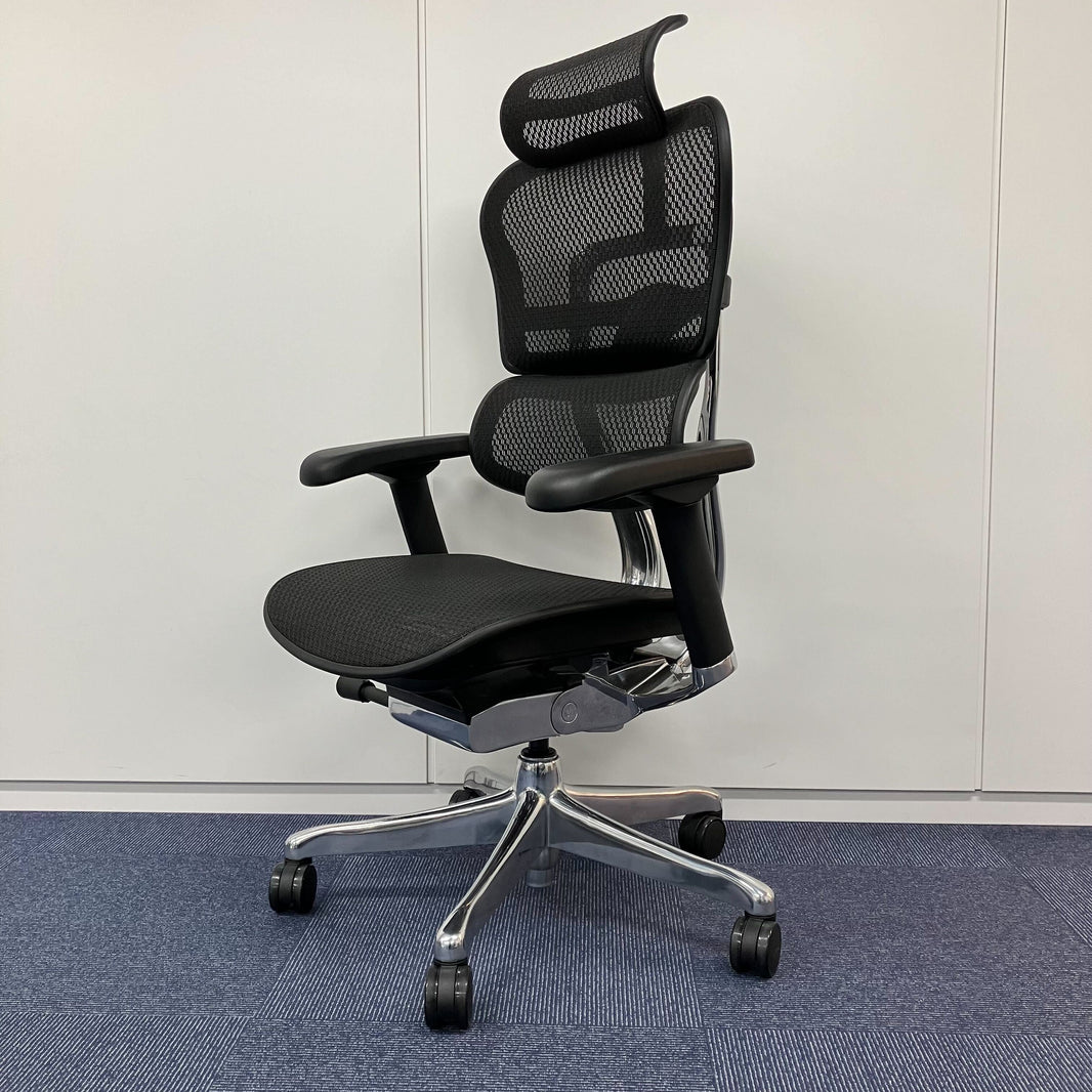 【中古A】Ergohuman PRO2(エルゴヒューマン プロ2) EHP2-HAM-BK(BKframe)