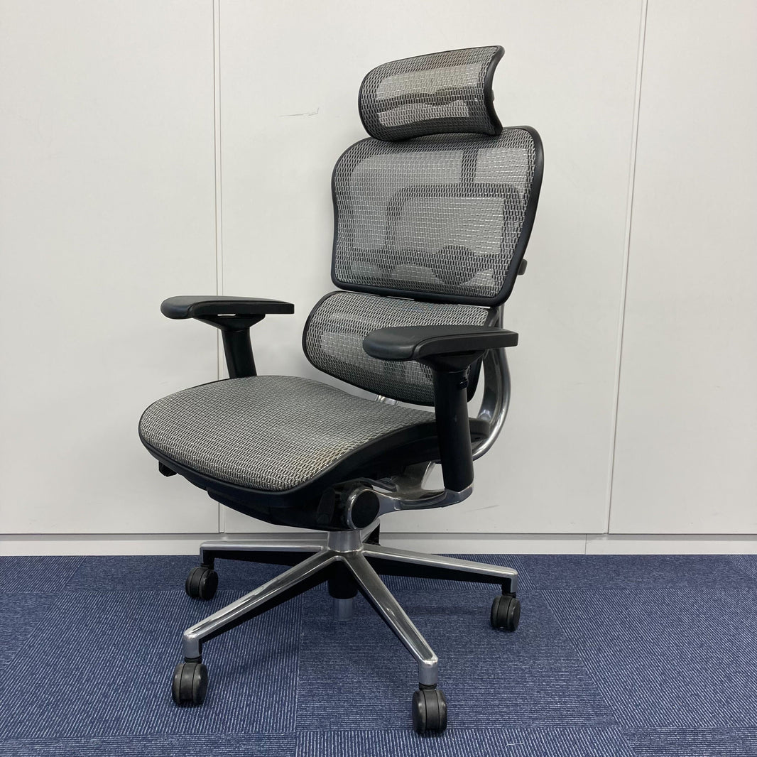 【中古A】Ergohuman Basic(エルゴヒューマン ベーシック) EH-HAM-KM10