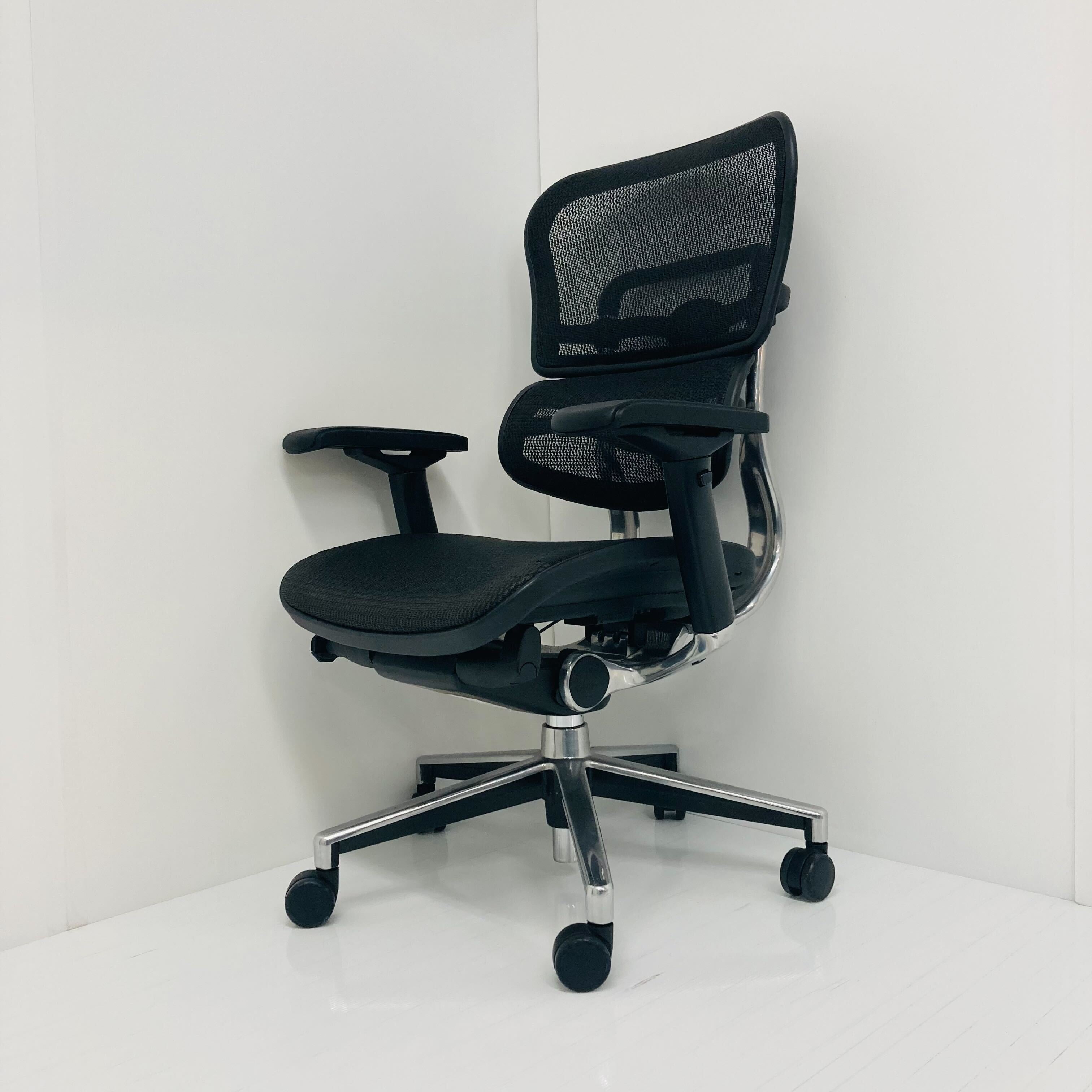 【中古A】Ergohuman Basic(エルゴヒューマン ベーシック) EH-LAM-KM11