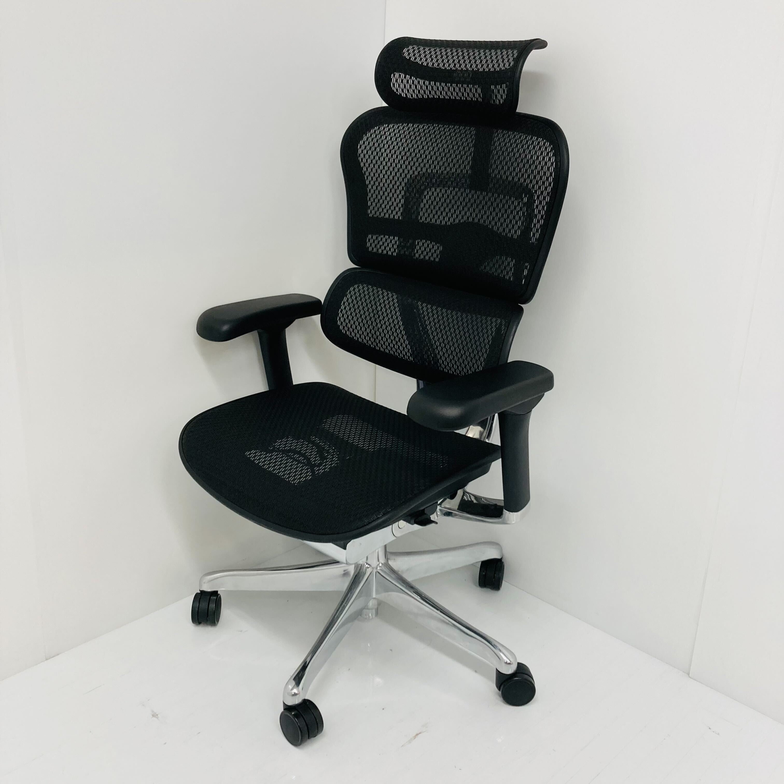 【中古S_2024年製】Ergohuman PRO2(エルゴヒューマン プロ2) EHP2-HAM-BK(BKframe)