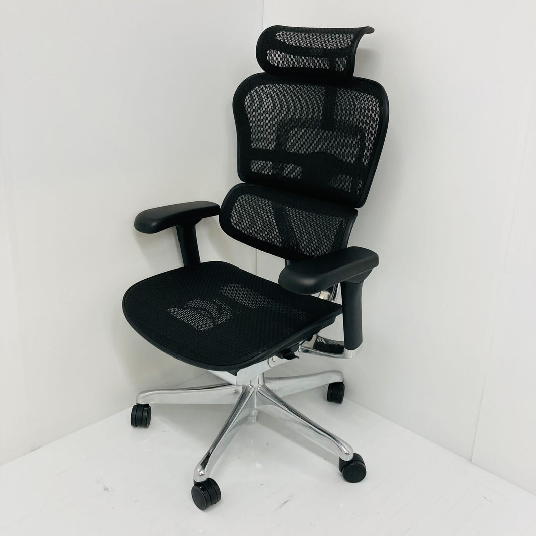【中古S_2024年製】Ergohuman PRO2(エルゴヒューマン プロ2) EHP2-HAM-BK(BKframe)