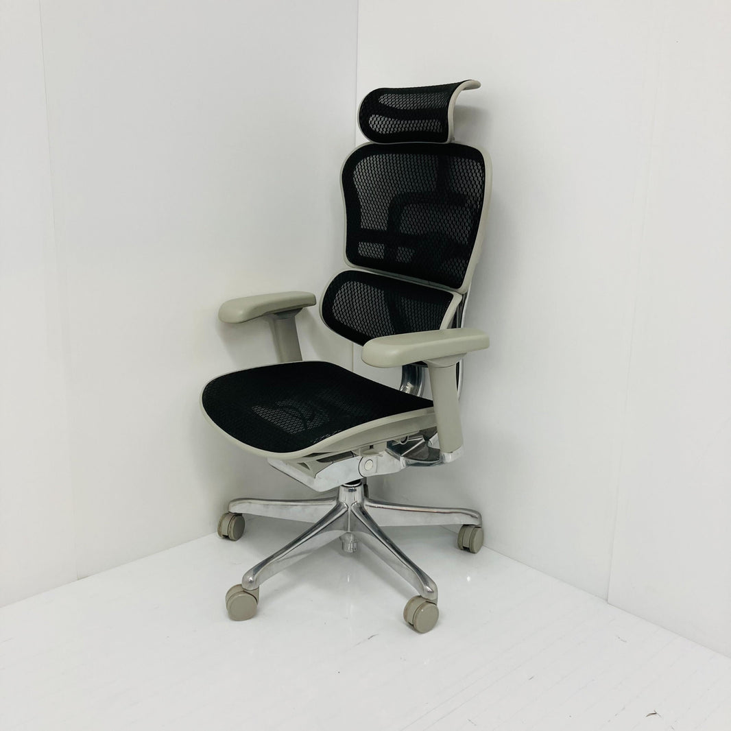 【中古S】Ergohuman PRO2(エルゴヒューマン プロ2) EHP2-HAM-BK(GYframe)【＊使用期間：2ヶ月程度＊】