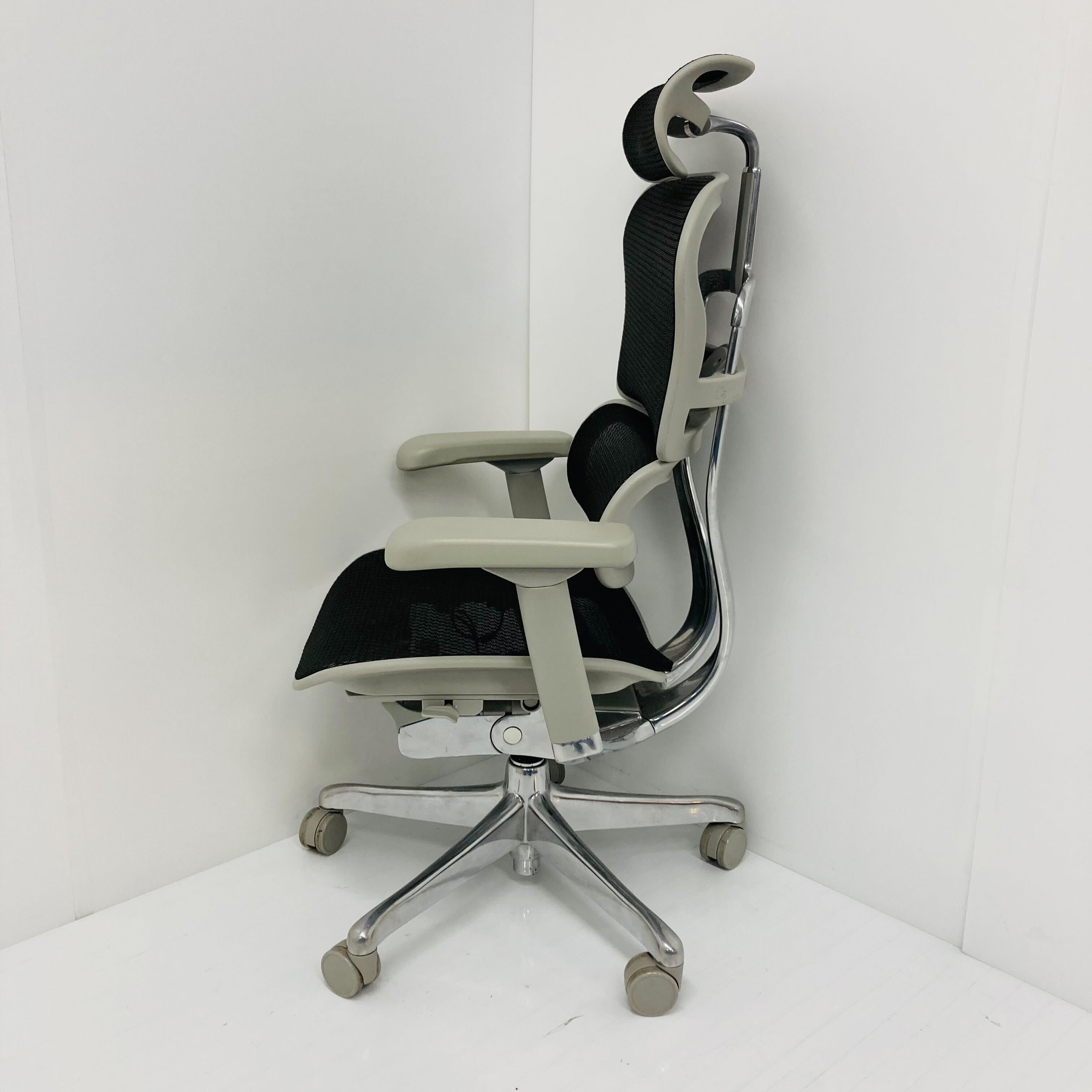 【中古 S(美品)】Ergohuman PRO2(エルゴヒューマン プロ2) EHP2-HAM-BK(GYframe)