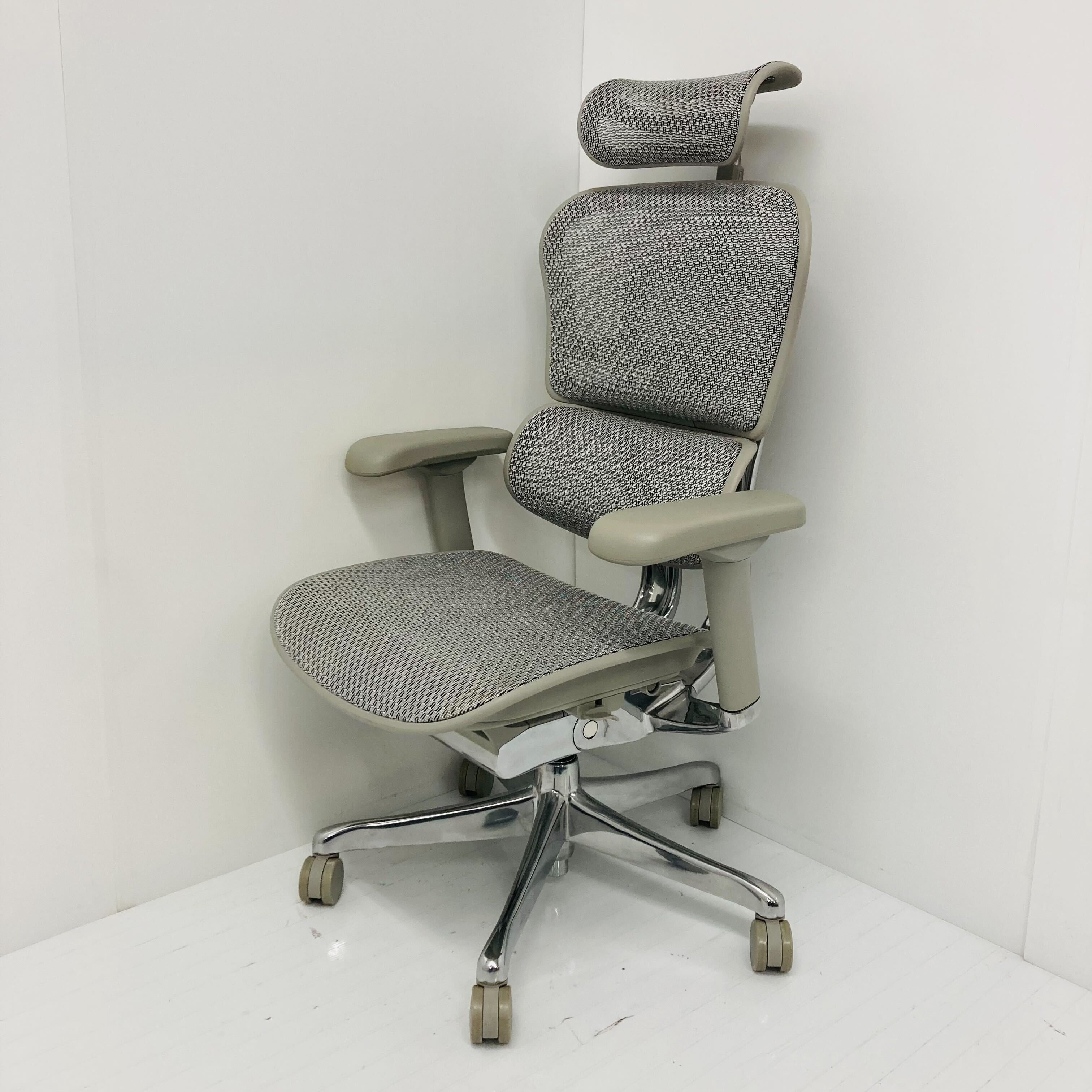【中古S_2023年製】Ergohuman PRO2(エルゴヒューマン プロ2) EHP2-HAM-WH(GYframe)
