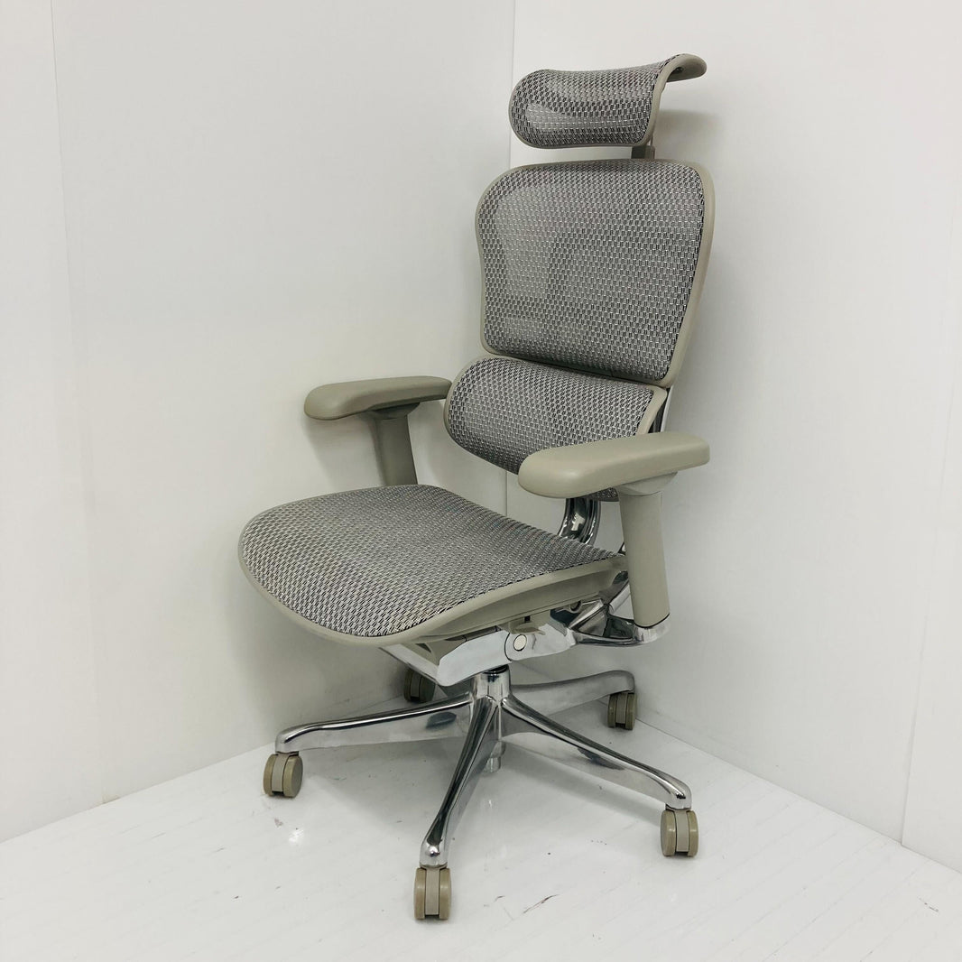 【中古S_2023年製】Ergohuman PRO2(エルゴヒューマン プロ2) EHP2-HAM-WH(GYframe)