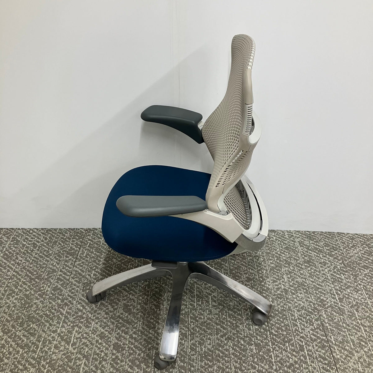 【展示品】Generation(ジェネレーション) KNGL-55H-L40804