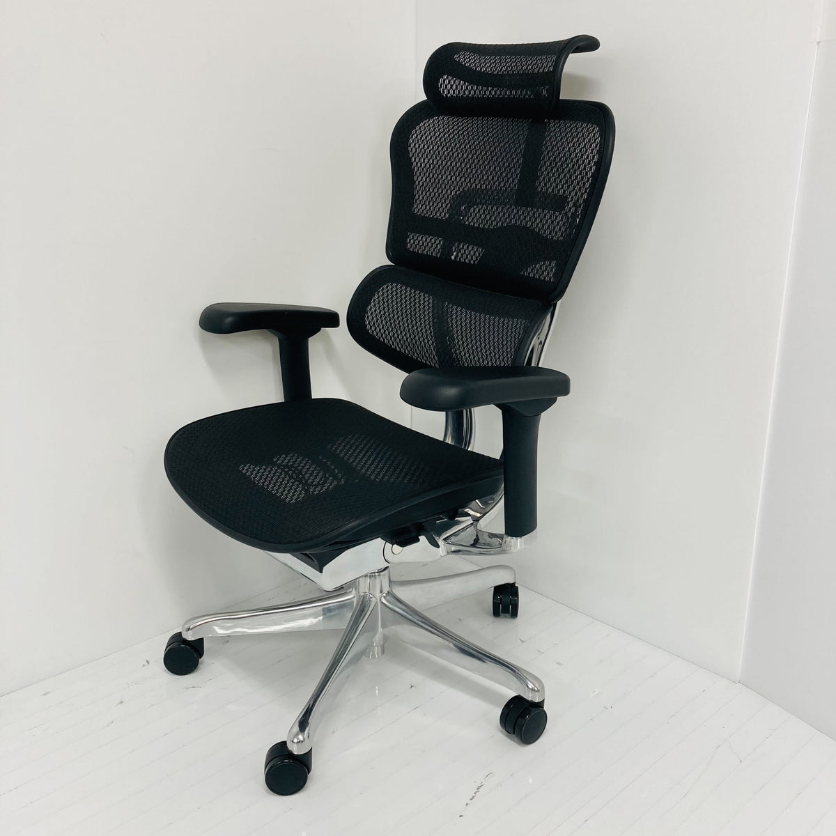 中古S_2025年製】Ergohuman PRO2(エルゴヒューマン プロ2) EHP2-HAM-DR 