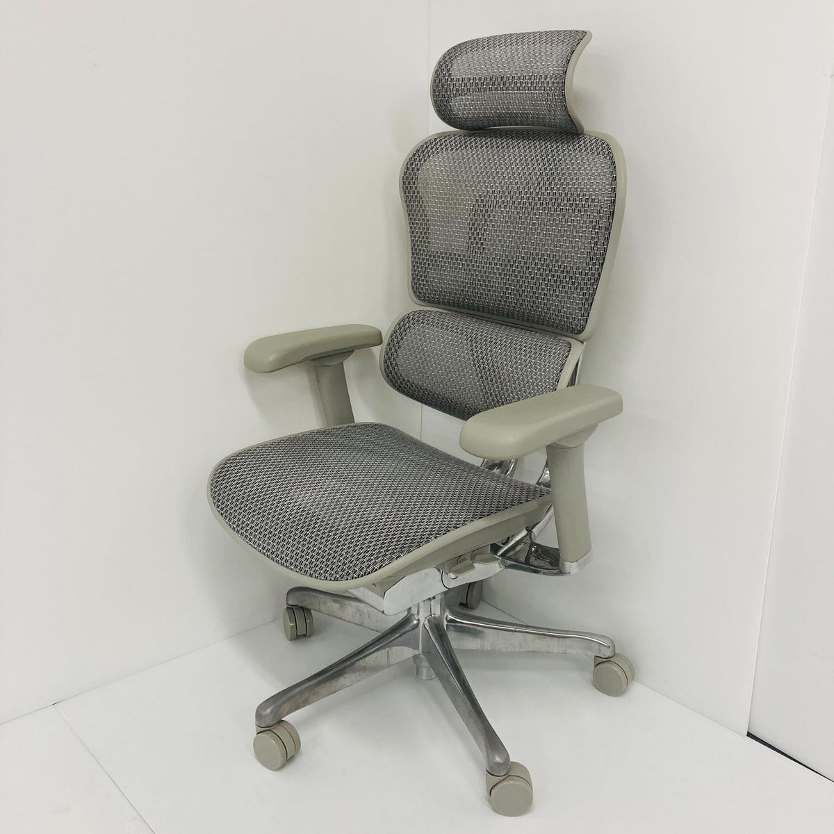 中古A_2025年製】Ergohuman PRO2(エルゴヒューマン プロ2) EHP2-HAM-DR 